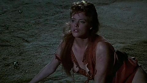 Pic: Brigitte Nielsen in Red Sonja (1985)