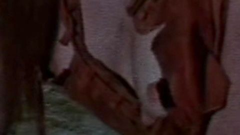 Pic: Brigitte Nielsen in Red Sonja (1985)