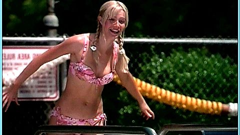 Pic: Gwyneth Paltrow in Shallow Hal (2001)