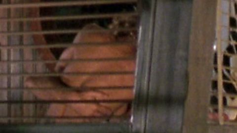 Pic: Sarah Jessica Parker in Striking Distance (1993)