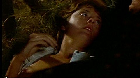 Pic: Susan Sarandon in Lovin' Molly (1974)