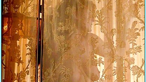 Pic: Susan Sarandon in Illuminata (1998)