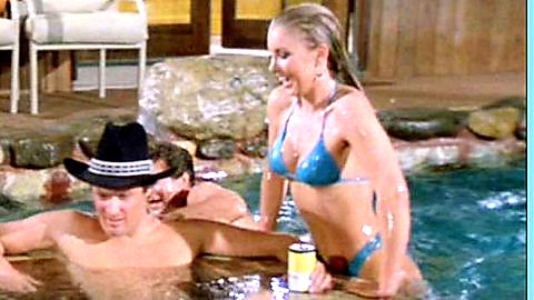 Pic: Heather Thomas in The Fall Guy (1981)