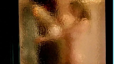 Pic: Kyra Sedgwick in The Closer (2005)