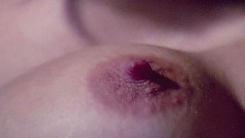Pic: Deborah Shelton in Dangerous Cargo (1977)