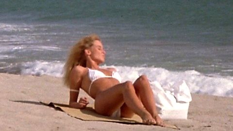 Pic: Nicollette Sheridan in The Sure Thing (1985)
