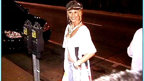 Pic: Nicollette Sheridan in America's Favorite  Housewives (2006)