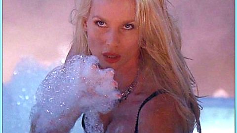 Pic: Nicollette Sheridan in Code Name: The Cleaner (2007)
