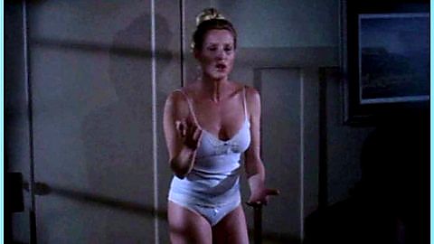 Pic: Nicollette Sheridan in Desperate Housewives (2004)