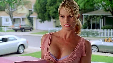 Pic: Nicollette Sheridan in Desperate Housewives (2004)