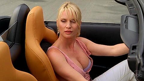 Pic: Nicollette Sheridan in Desperate Housewives (2004)