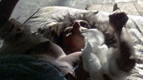 Pic: Marina Sirtis in Death Wish III (1985)