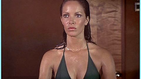 Pic: Jaclyn Smith in Charlie's Angels (1976)