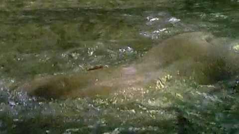 Pic: Imogen Stubbs in A Summer Story (1988)