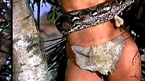 Pic: Victoria Vetri in When Dinosaurs Ruled the Earth (1970)