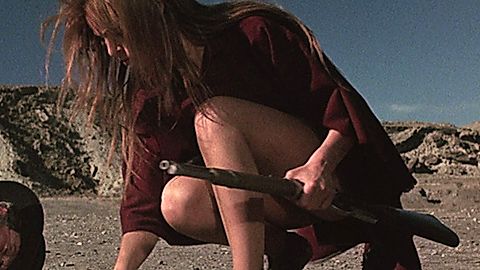 Pic: Raquel Welch in Hannie Caulder (1972)