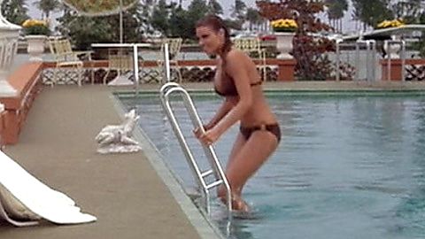 Pic: Raquel Welch in Lady in Cement (1968)
