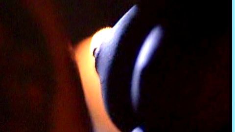 Pic: Kari Wuhrer in Terminal Justice (1995)