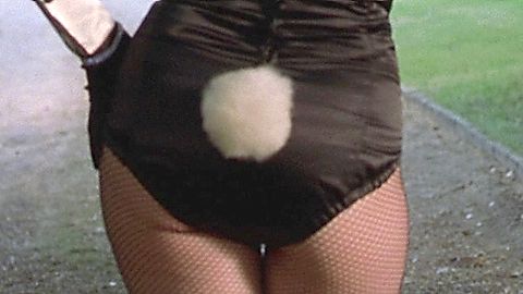 Pic: Renée Zellweger in Bridget Jones's Diary (2001)