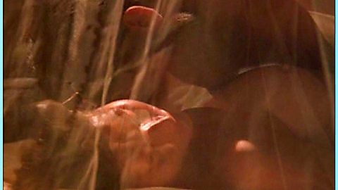 Pic: Carré Otis in Under Heavy Fire (2001)