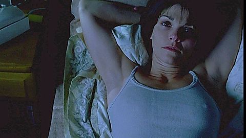 Pic: Kathryn Erbe in Stir of Echoes (1999)