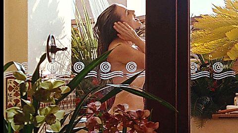 Pic: Kristin Davis in Sex and the City (2008)