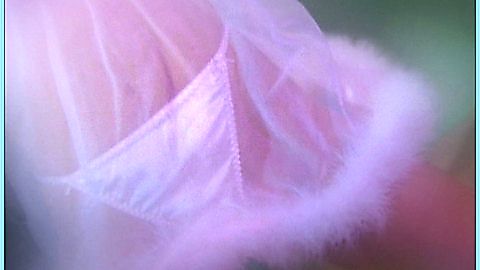 Pic: Jaime Bergman in Son of the Beach (2000)