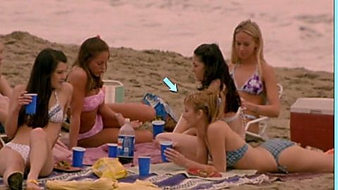 Pic: Bree Turner in American Pie 2 (2001)