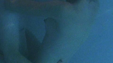 Pic: Kim Dickens in Out of Order (2003)