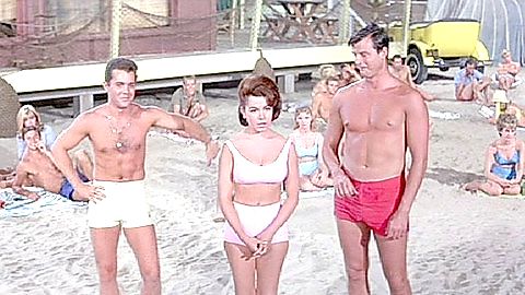 Pic: Annette Funicello in Beach Party (1963)