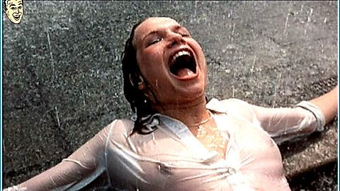 Pic: Monique van de Ven in Turkish Delight (1973)