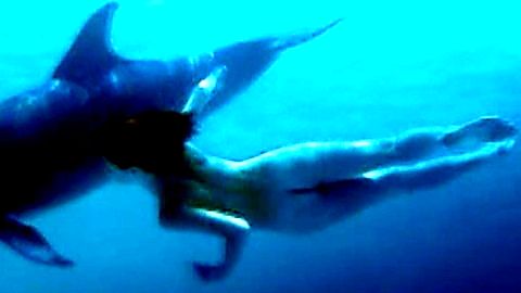 Pic: Julia Brendler in Dolphins (1999)