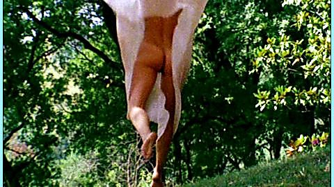 Pic: Nadia Cassini in Infermiera nella corsia dei militari (1980)