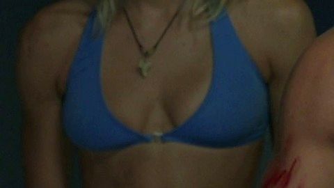 Pic: Brittany Daniel in Club Dread (2004)