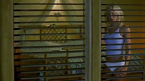 Pic: Brittany Daniel in Club Dread (2004)