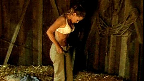 Pic: Alexandra Neldel in Rosamunde Pilcher