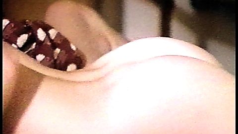 Pic: Debra Deliso in Iced (1988)