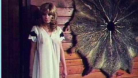 Pic: Christiane Krüger in Little Mother (1973)