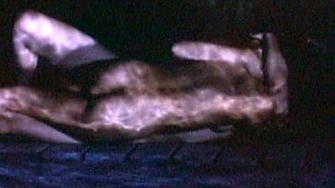 Pic: Olivia Negron in Everything Relative (1996)