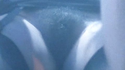 Pic: Francesca Nunzi in Frivolous Lola (1998)