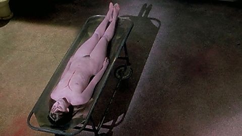 Pic: Samantha Phillips in Phantasm II (1988)