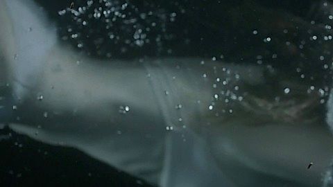 Pic: Jessica Biel in Bleeding Heart (2015)