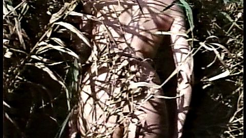 Pic: Ingrid Steeger in The Sex Adventures of the Three Musketeers (1971)