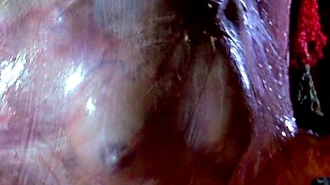 Pic: Linnea Quigley in A Nightmare on Elm Street 4 (1988)