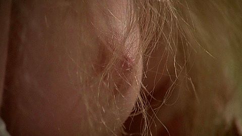 Pic: Teresa Ann Savoy in Private Vices, Public Virtues (1976)