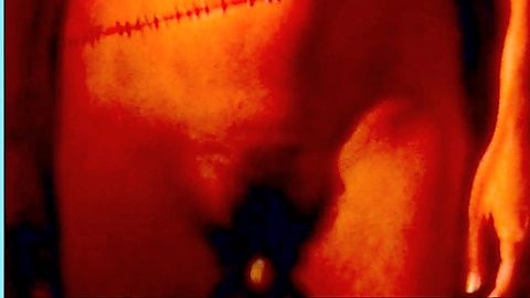 Pic: Michelle Bauer in Lust for Frankenstein (1998)