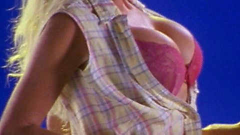 Pic: Victoria Silvstedt in Son of the Beach (2000)