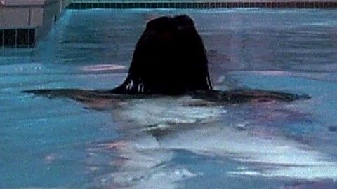 Pic: Finola Hughes in Aspen Extreme (1993)