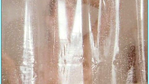 Pic: Holly Floria in Bikini Island (1991)