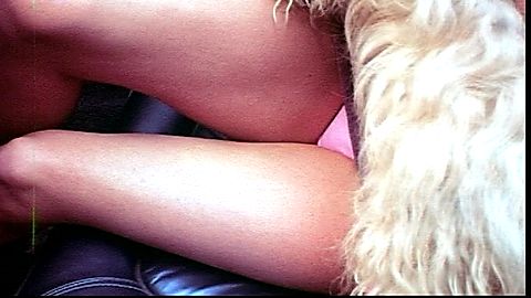 Pic: Candice Rialson in Pets (1974)